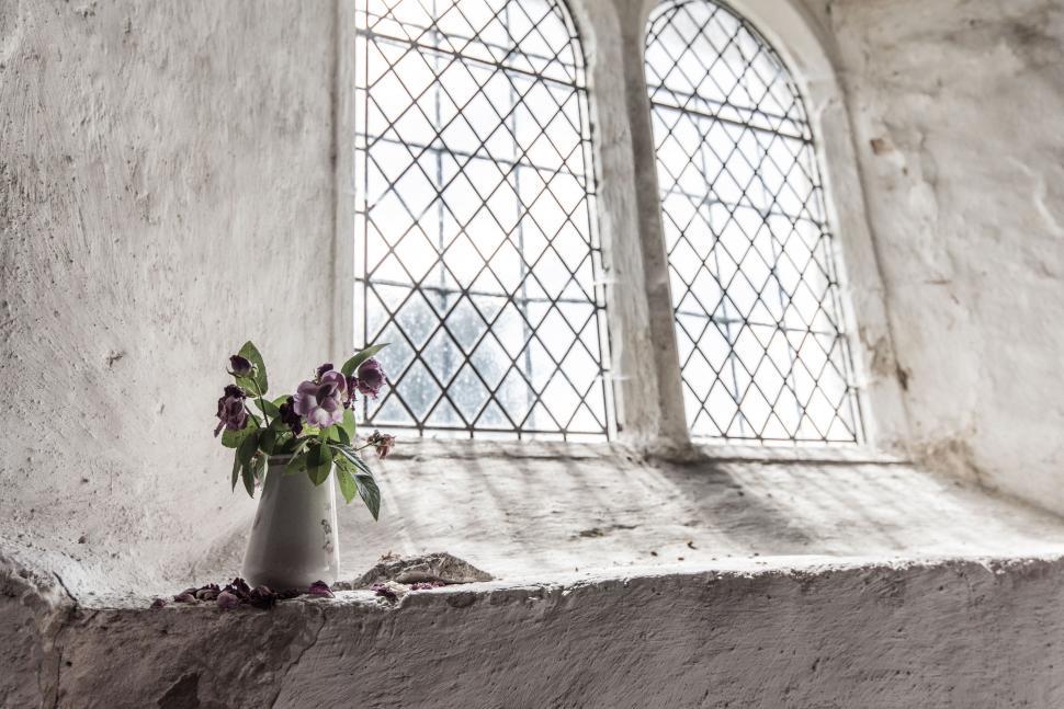 Free Image of Vase With Flowers in Black and White 