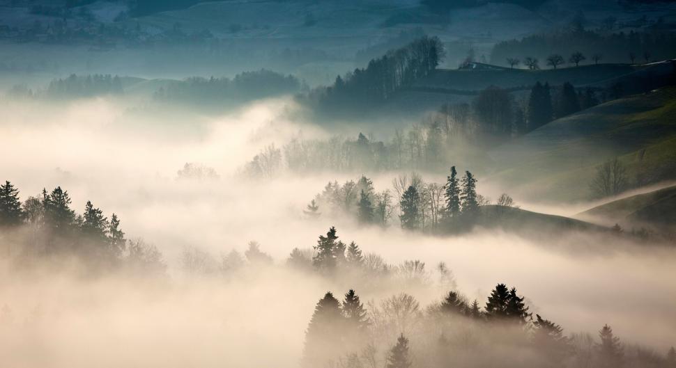 Free Image of Foggy Mountain With Trees in Foreground 