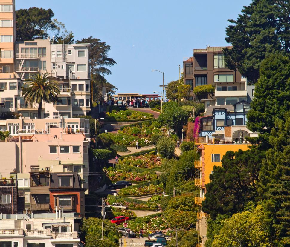 Free Image of Residential Homes Covering Hillside 