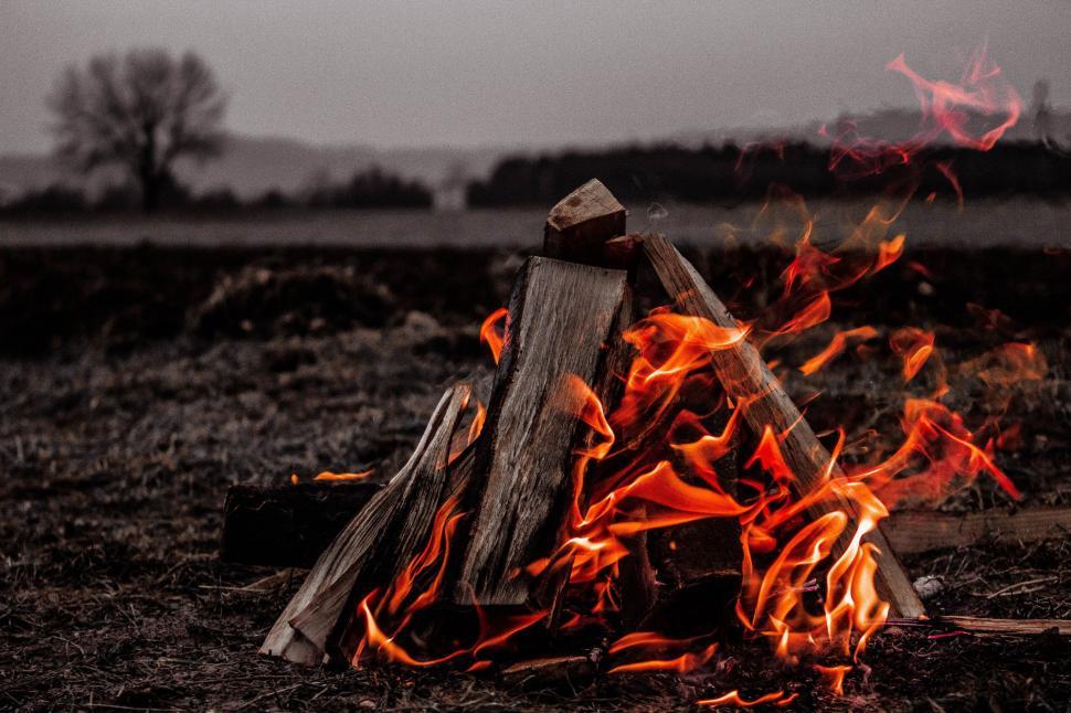 Free Image of Fire Burning in Field 