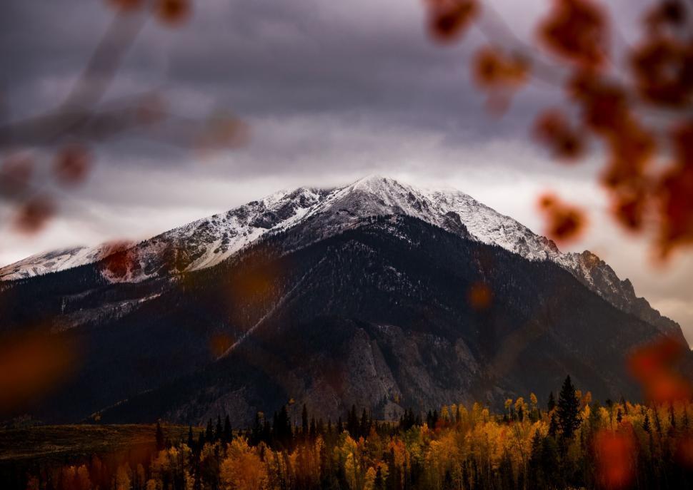 Free Image of Snow Covered Mountain Seen Through Tree Branches 