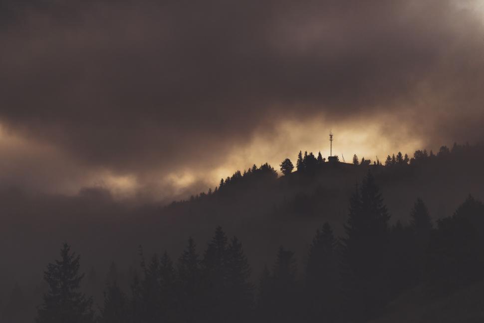 Free Image of Rolling Hill With Trees 