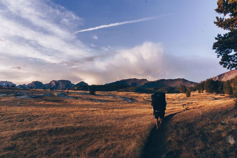 Free Image of Person Walking on Path in Field 