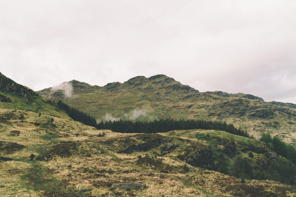 Free Image of Grassy Hill With Trees 