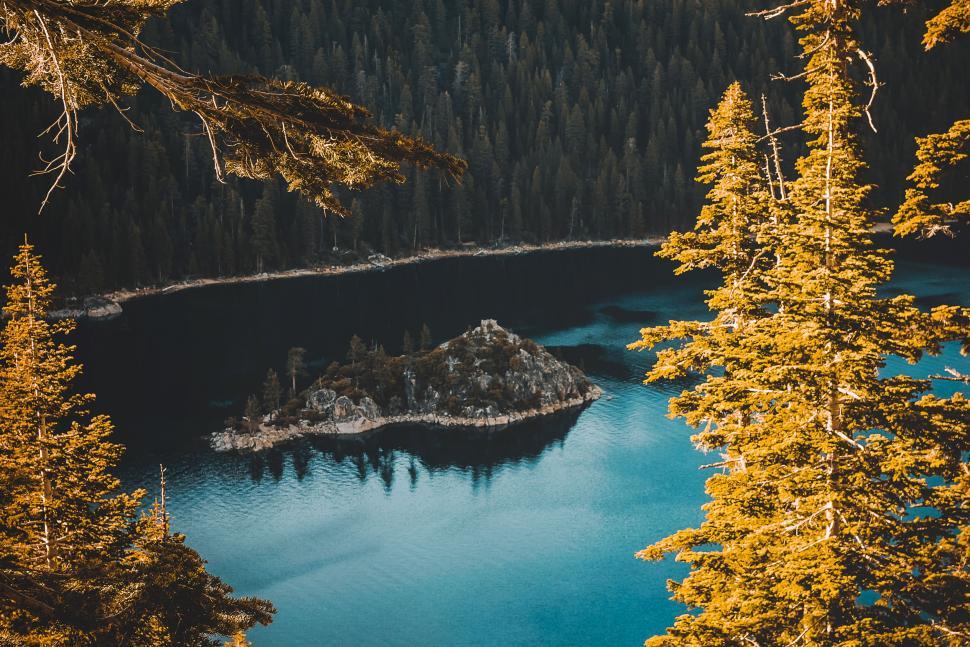 Free Image of Water Body Surrounded by Trees 