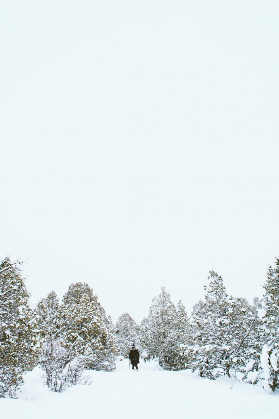 Free Image of Person Walking Through a Snow Covered Forest 