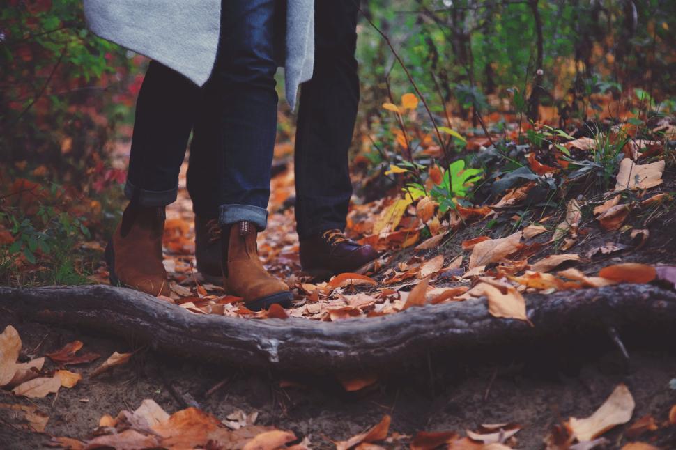 Free Image of Couple Walking on Fallen Log in Woods 