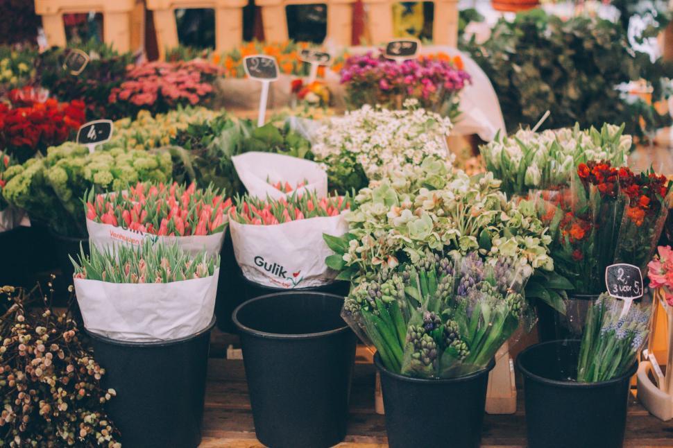 Free Image of A Bunch of Flowers on a Table 
