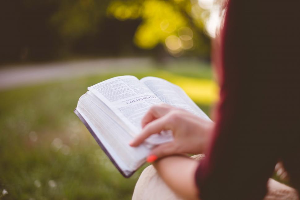 Free Image of Person Holding a Book 