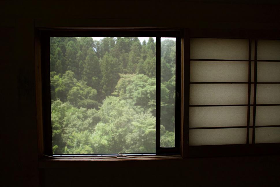 Free Image of Window Overlooking Forest View 