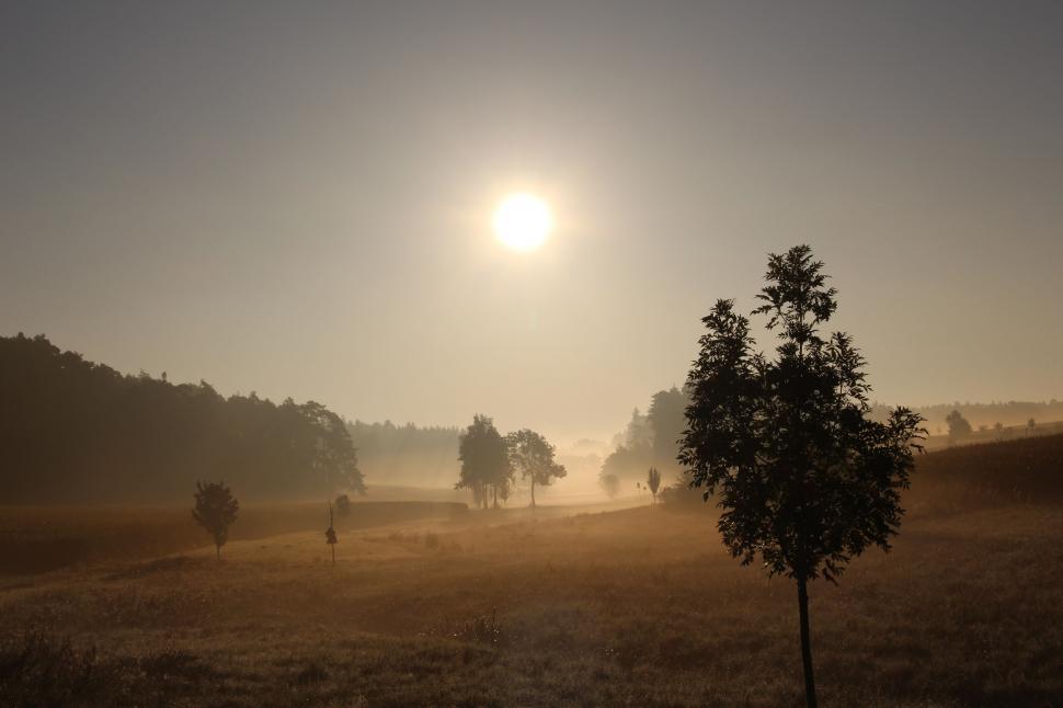 Free Image of Group of Animals Walking Across Grass Covered Field 