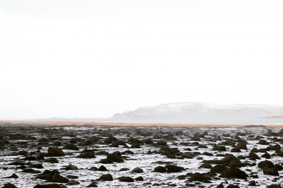 Free Image of Rocky Beach Landscape in Black and White 