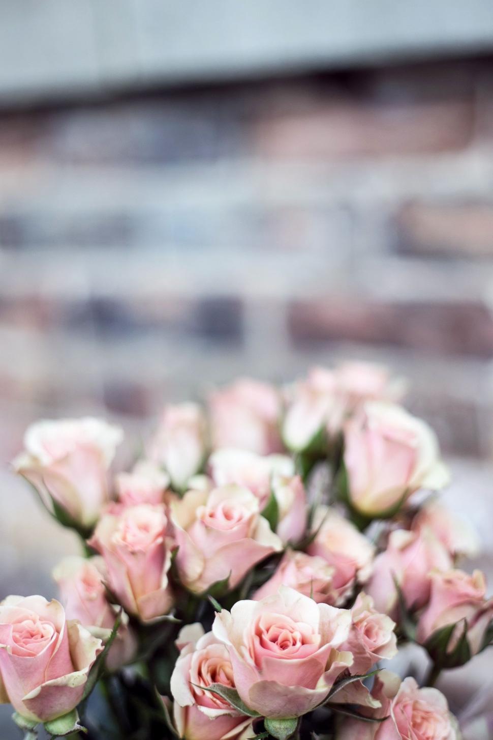 Free Image of Bouquet of Pink Roses on Table 