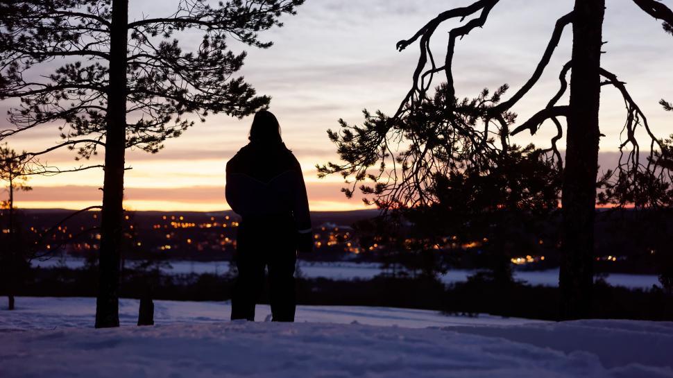 Free Image of Person Standing in Snow Near Trees 