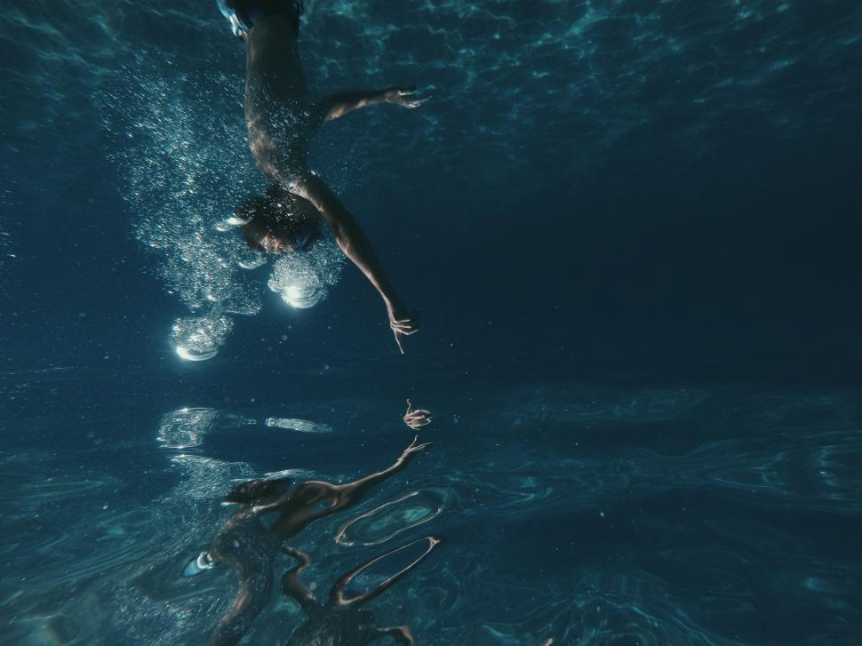 Free Image of Person Swimming in Water With Large Snake 