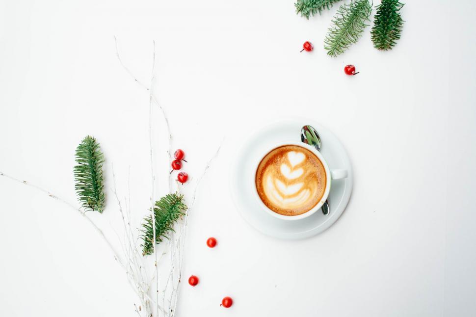 Free Image of Cappuccino Cup on Saucer Among Greenery 