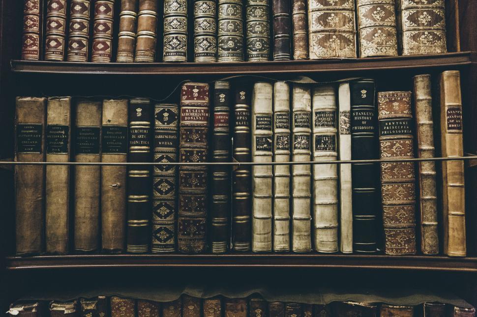 Free Image of Organized Bookshelf With Numerous Books 