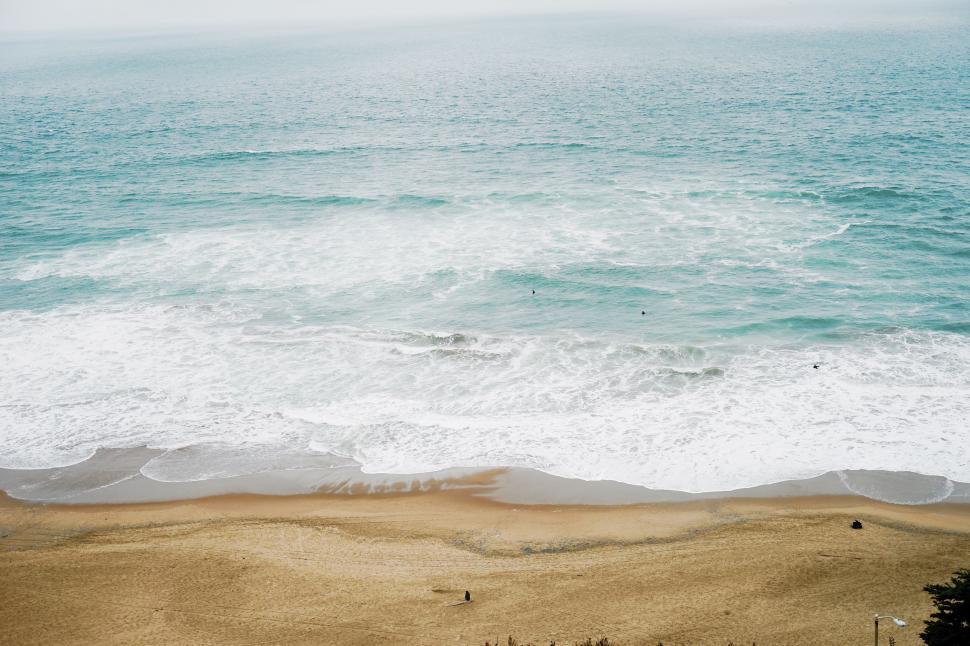 Free Image of Overlooking the Ocean From a Hilltop 