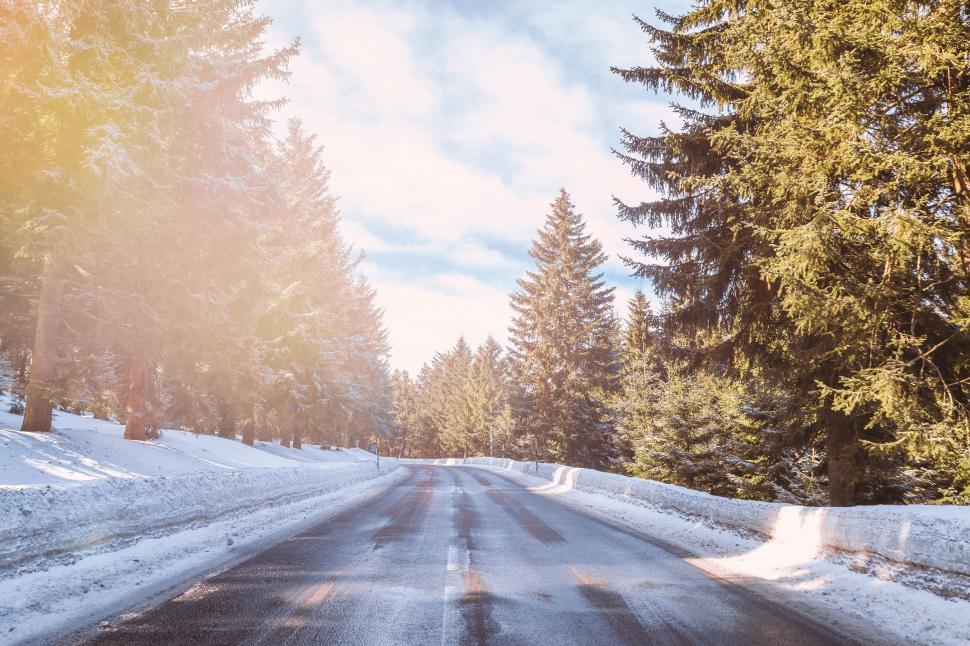Free Image of Snow Covered Road in the Middle of a Forest 