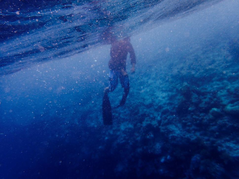Free Image of Man in Wetsuit Swimming in Ocean 