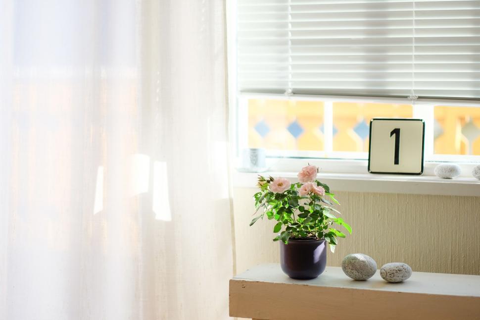 Free Image of Small Table With Potted Plant 