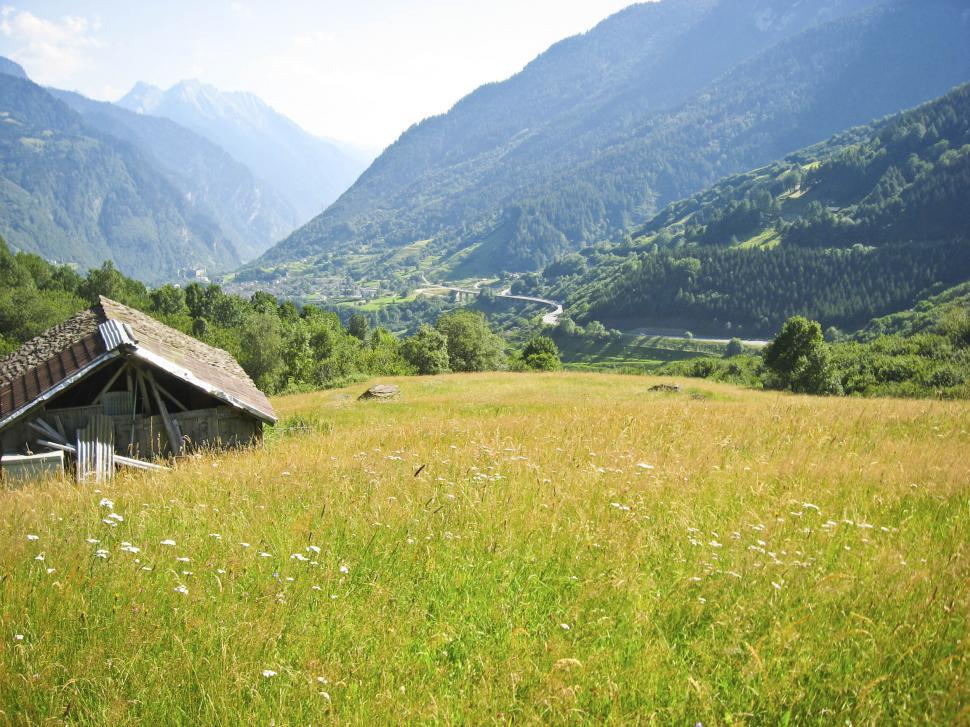 Free Image of alpine field 