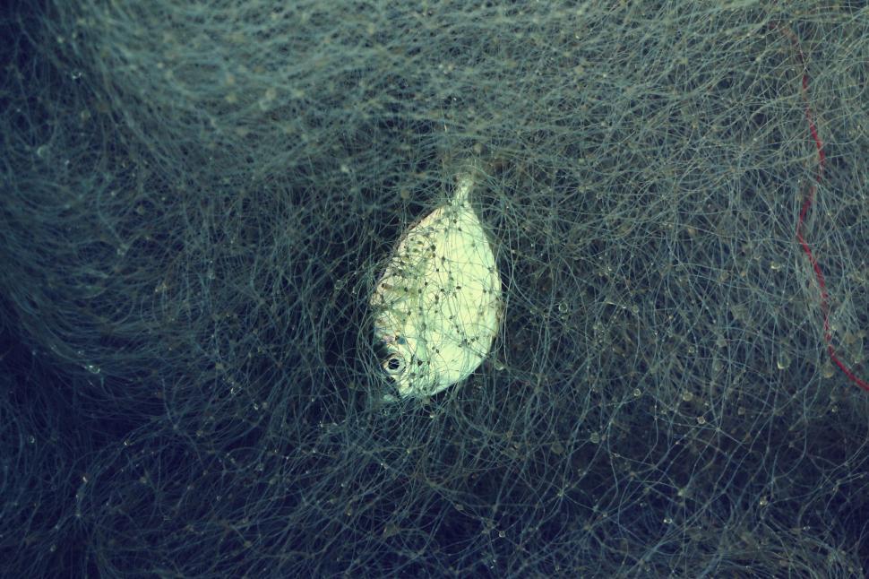 Free Image of Close Up of Fishing Net 