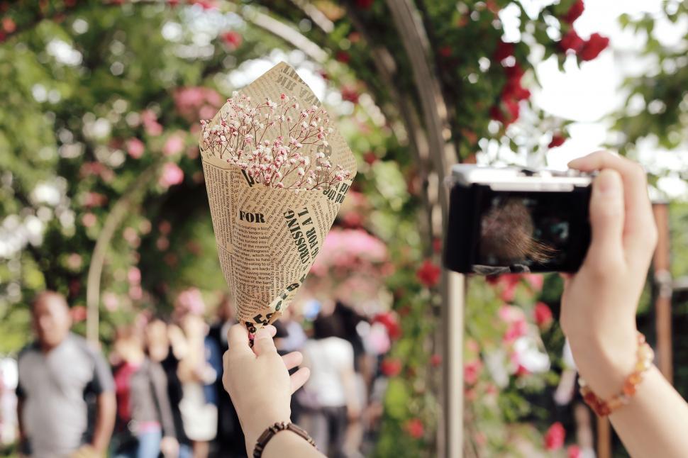Free Image of Woman Taking Picture of Bunch of Flowers 