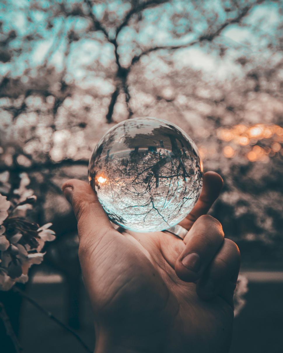 Free Image of Person Holding Crystal Ball 