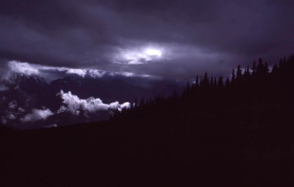Free Image of Clouds and Trees in Black and White 