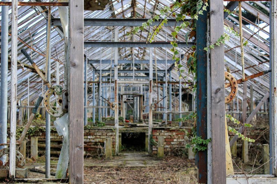 Free Image of Abundance of Plants Inside Building 