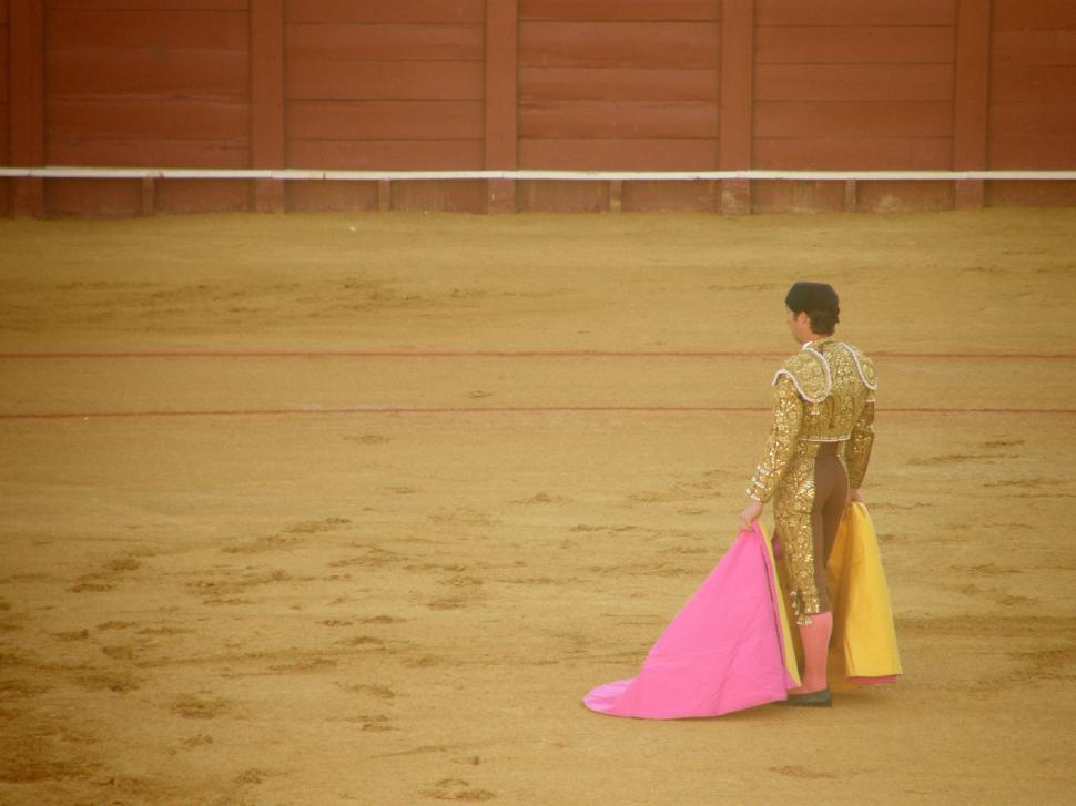 Free Image of Waiting the bull 