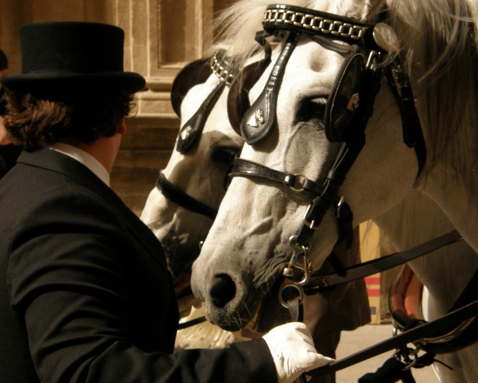 Free Image of Waiting the bride 