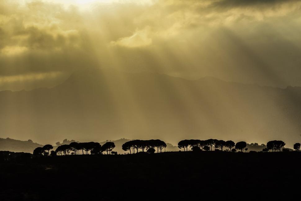 Free Image of Herd of Animals Grazing on Lush Green Field 
