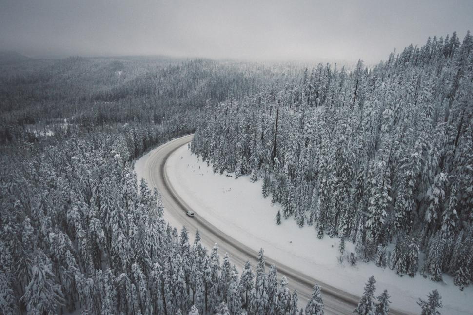 Free Image of Train Traveling Through Snow Covered Forest 