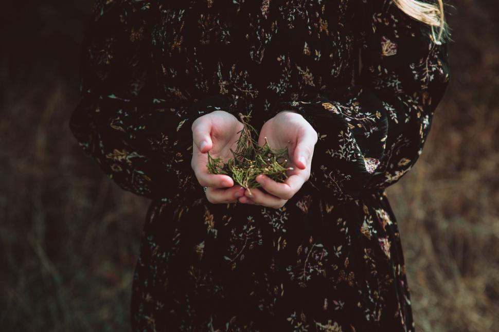 Free Image of Woman Holding Plant in Hands 