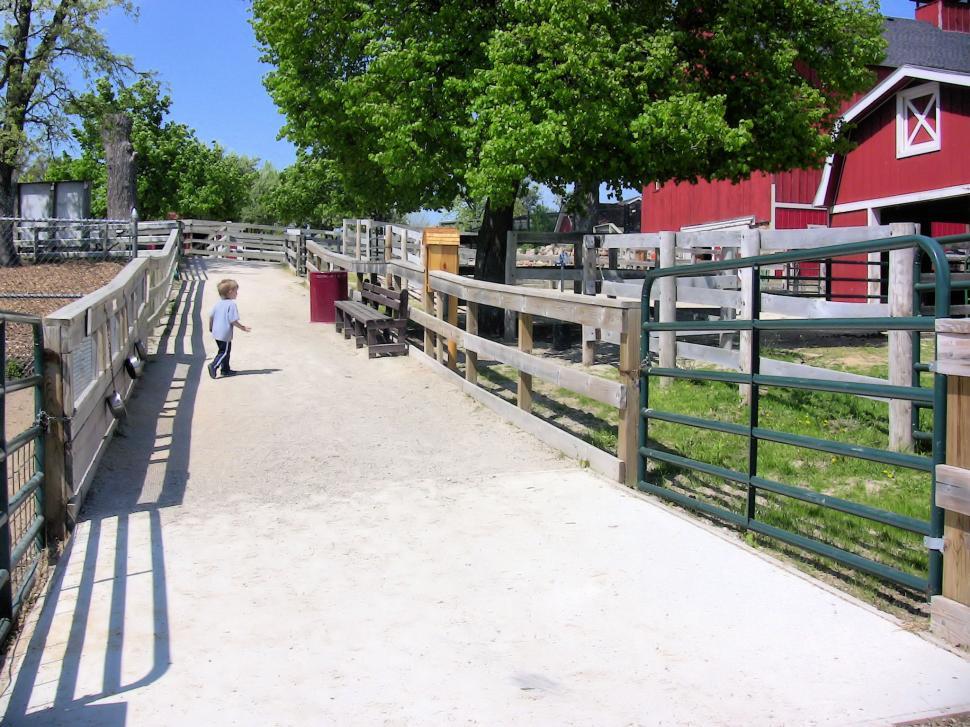 Free Image of Petting Zoo 