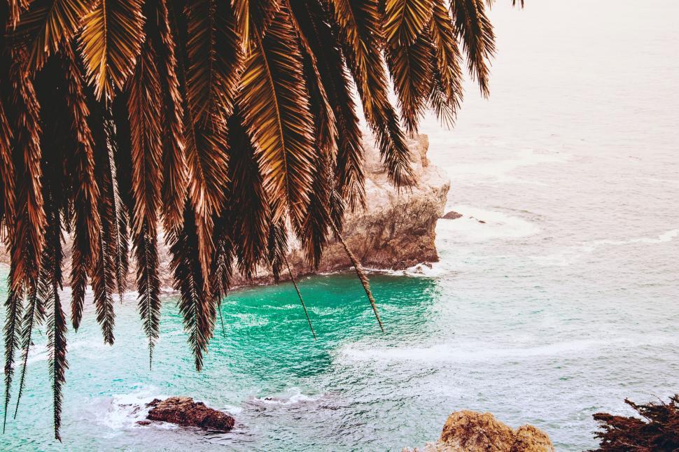 Free Image of Water Surrounded by Trees and Rocks 