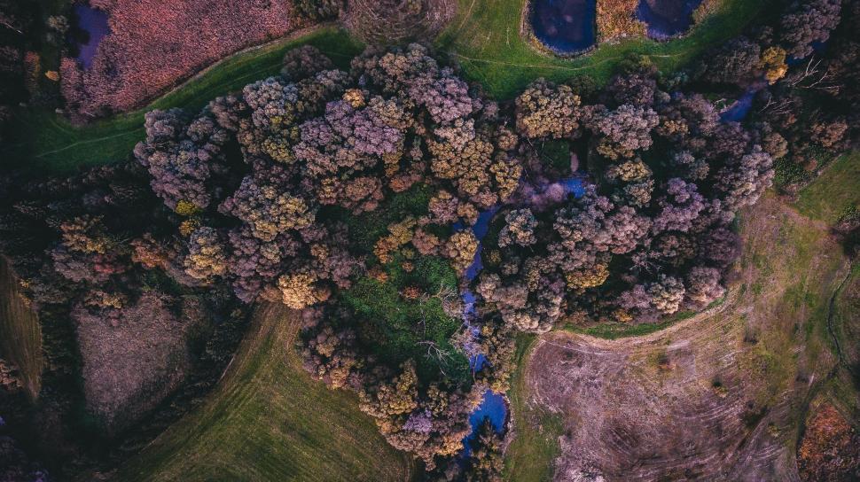 Free Image of A Birds-Eye View of a Wooded Area 