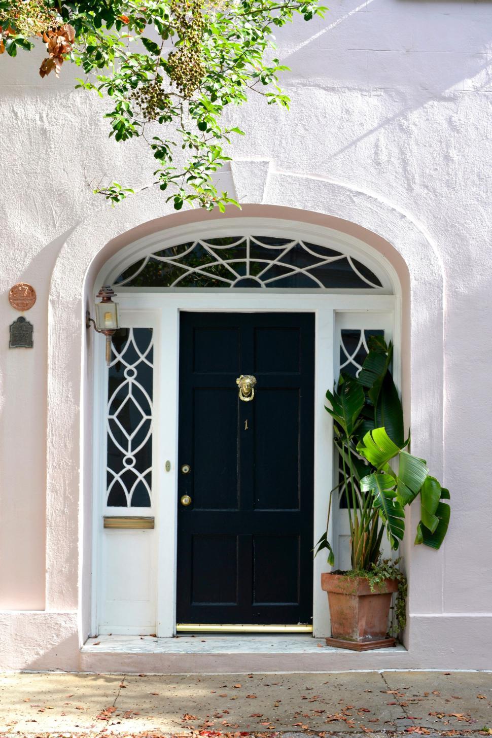 Free Image of Black Door With Potted Plant 
