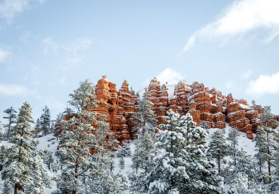 Free Image of Snow-Covered Mountain Next to Trees 