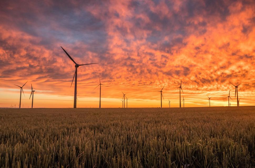 Free Image of Windmills on Grass Field 