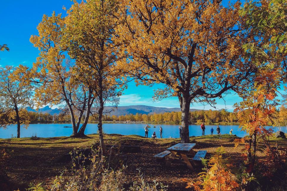Free Image of Bench Overlooking Lake Surrounded by Trees 