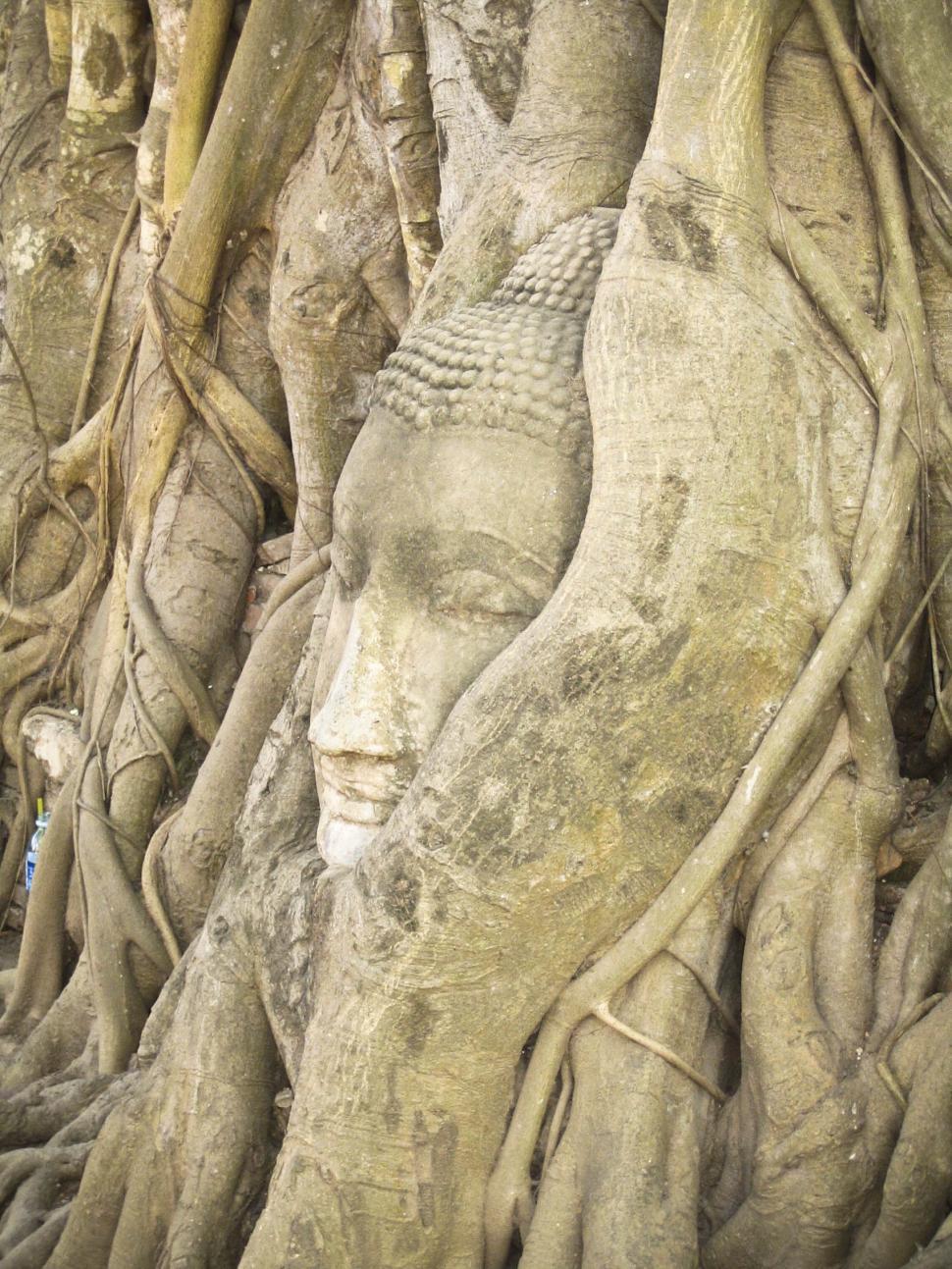 Free Image of Ornament carving 