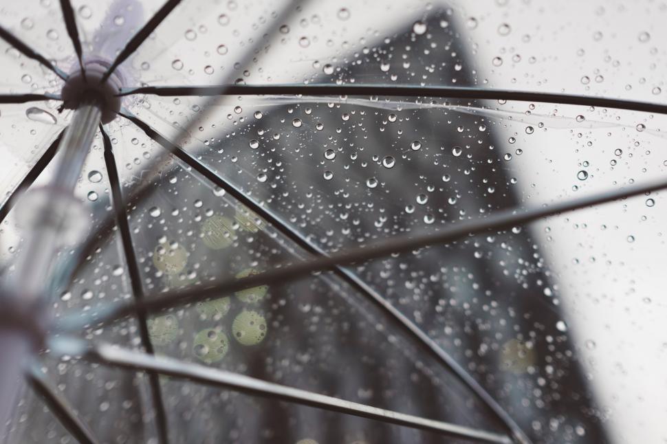 Free Image of Person Holding Umbrella in Black and White 