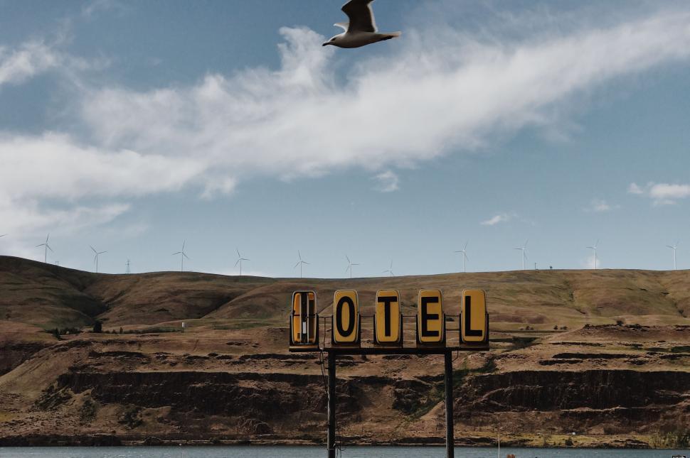 Free Image of Bird Flying Over Body of Water 
