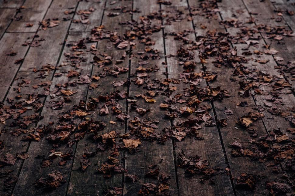 Free Image of Wooden Floor Covered in Lots of Leaves 