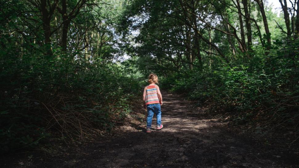 Free Image of Person Standing on Dirt Road Surrounded by Trees 