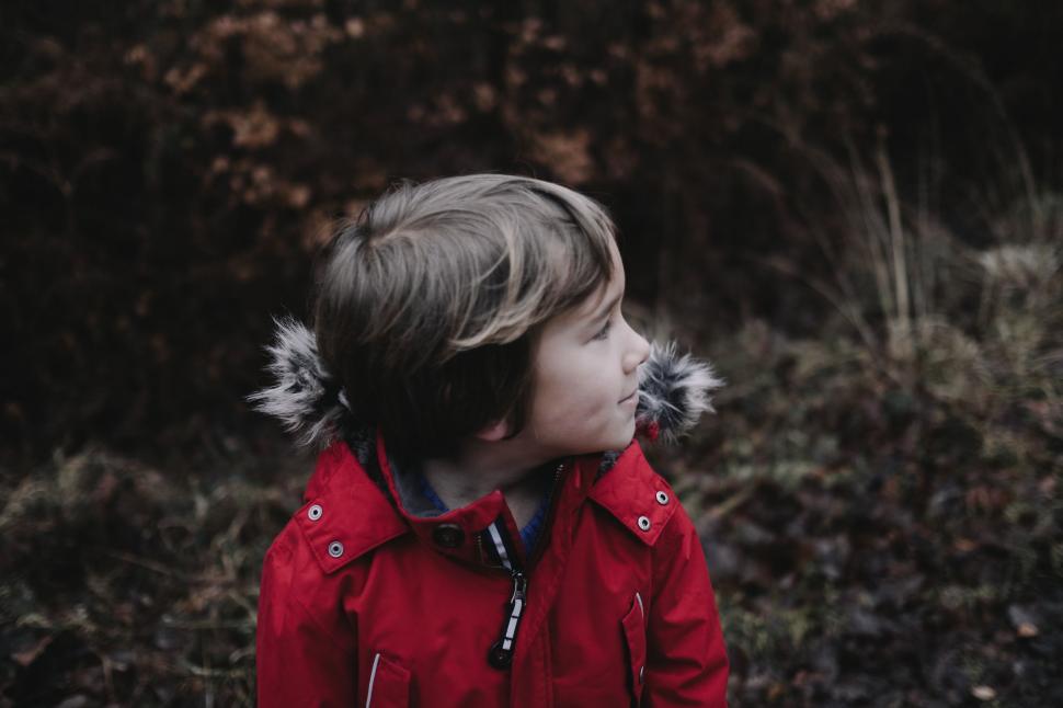 Free Image of Little Boy in Red Jacket Standing in Field 