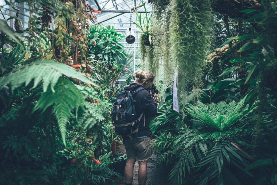 Free Image of Person Walking Through Greenhouse 